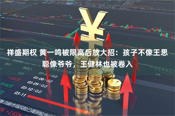 祥盛期权 黄一鸣被限高后放大招：孩子不像王思聪像爷爷，王健林也被卷入